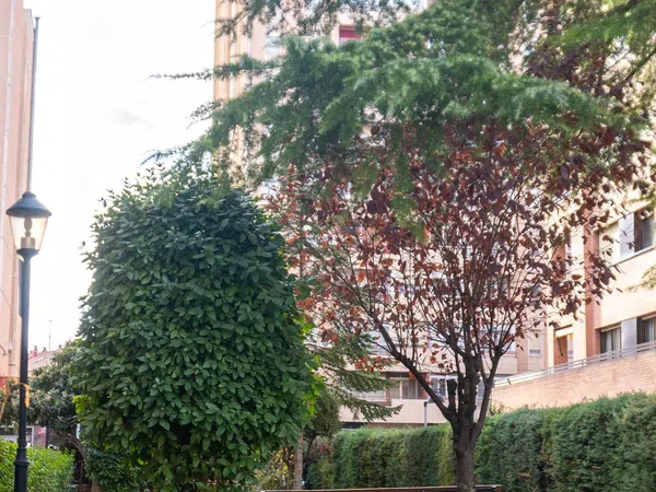 Piso en calle de Rufino Blanco, 10 - Foto 22