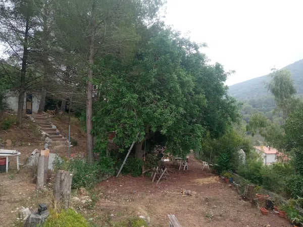 Finca rústica en Bancal domenec s/n - Foto 23