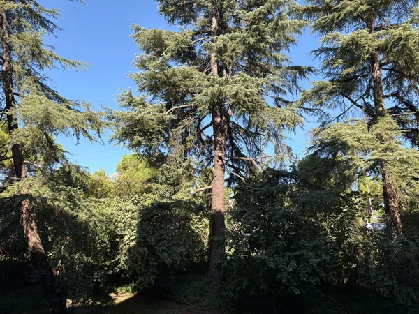 Piso en calle de Villagarcía, 27