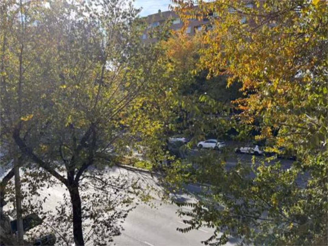 Piso en  Calle Calcografía 1 - Foto 25