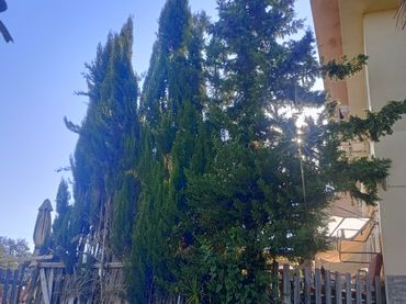 Apartamento en  Barrio Sierralagos Urb 10 - Foto 8