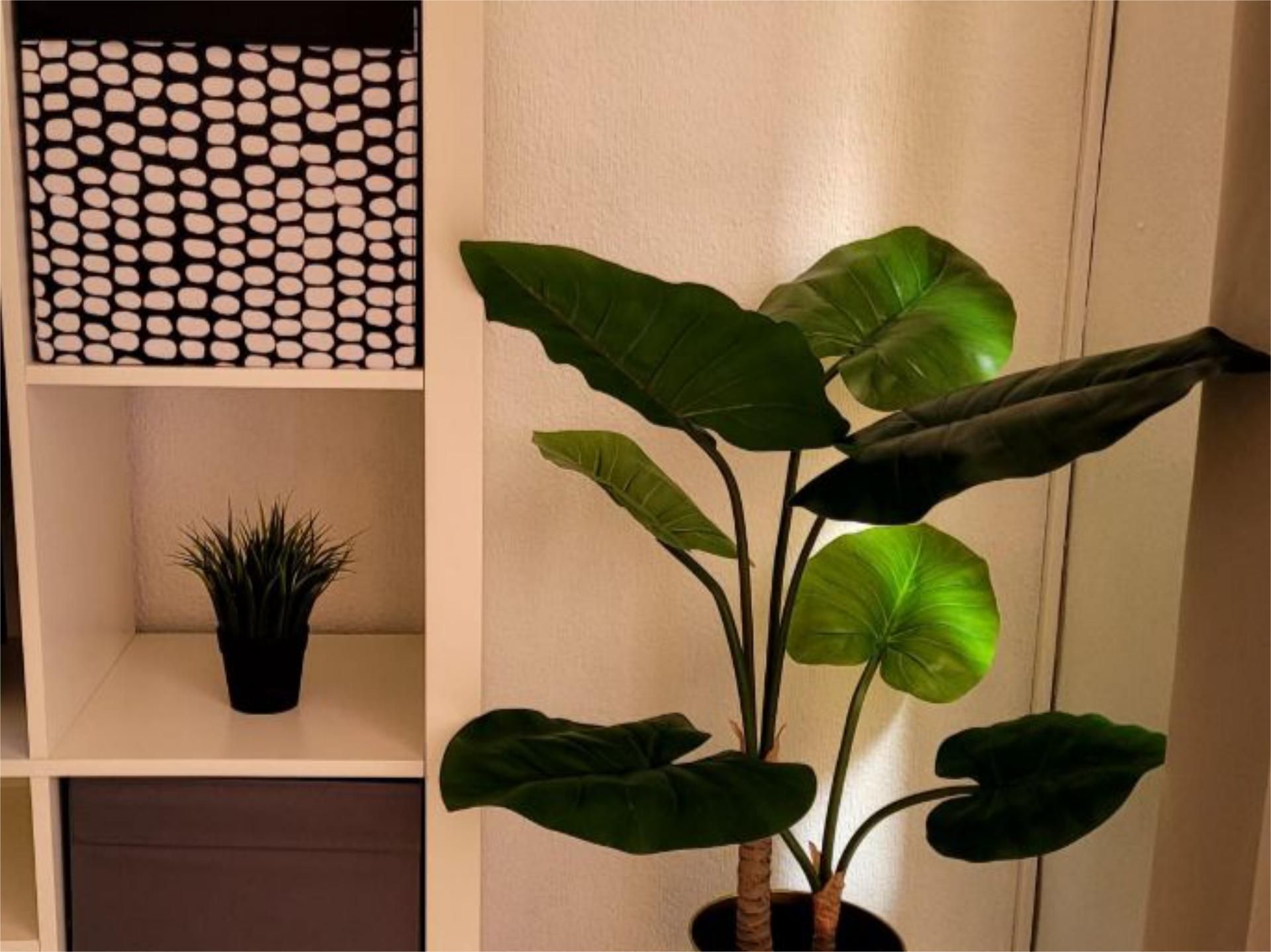 Piso en  Calle Montijo 17 - Foto 5