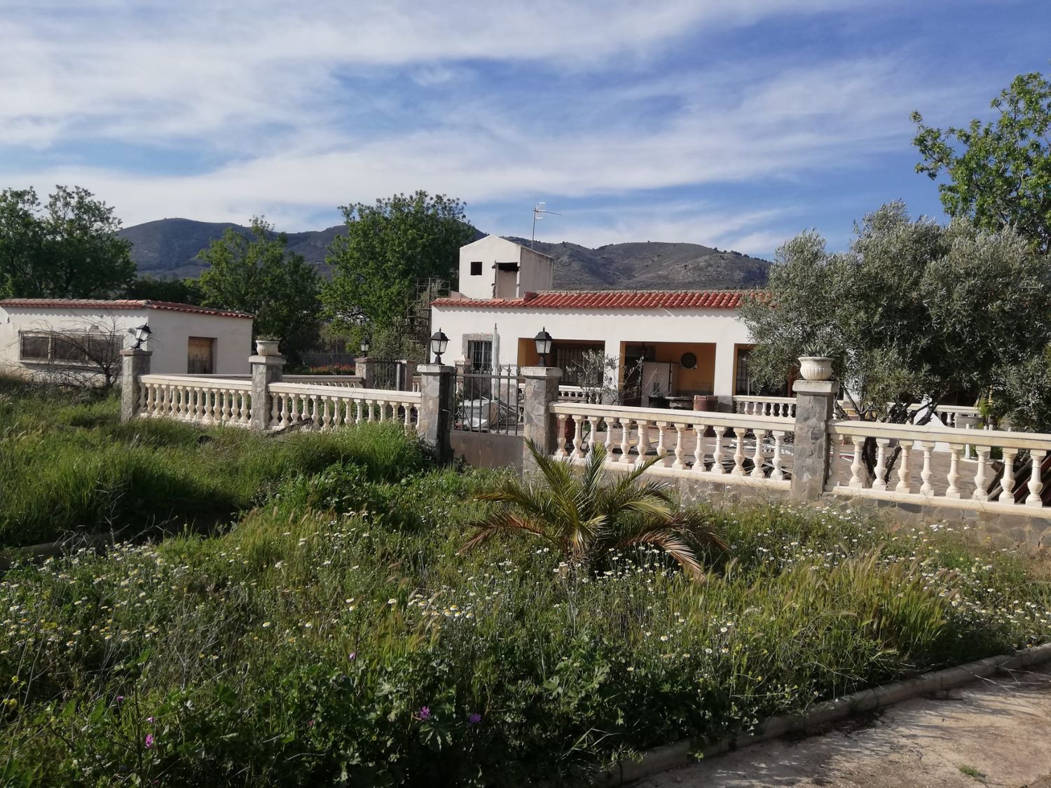 Finca rústica en La vega s/n - Foto 2