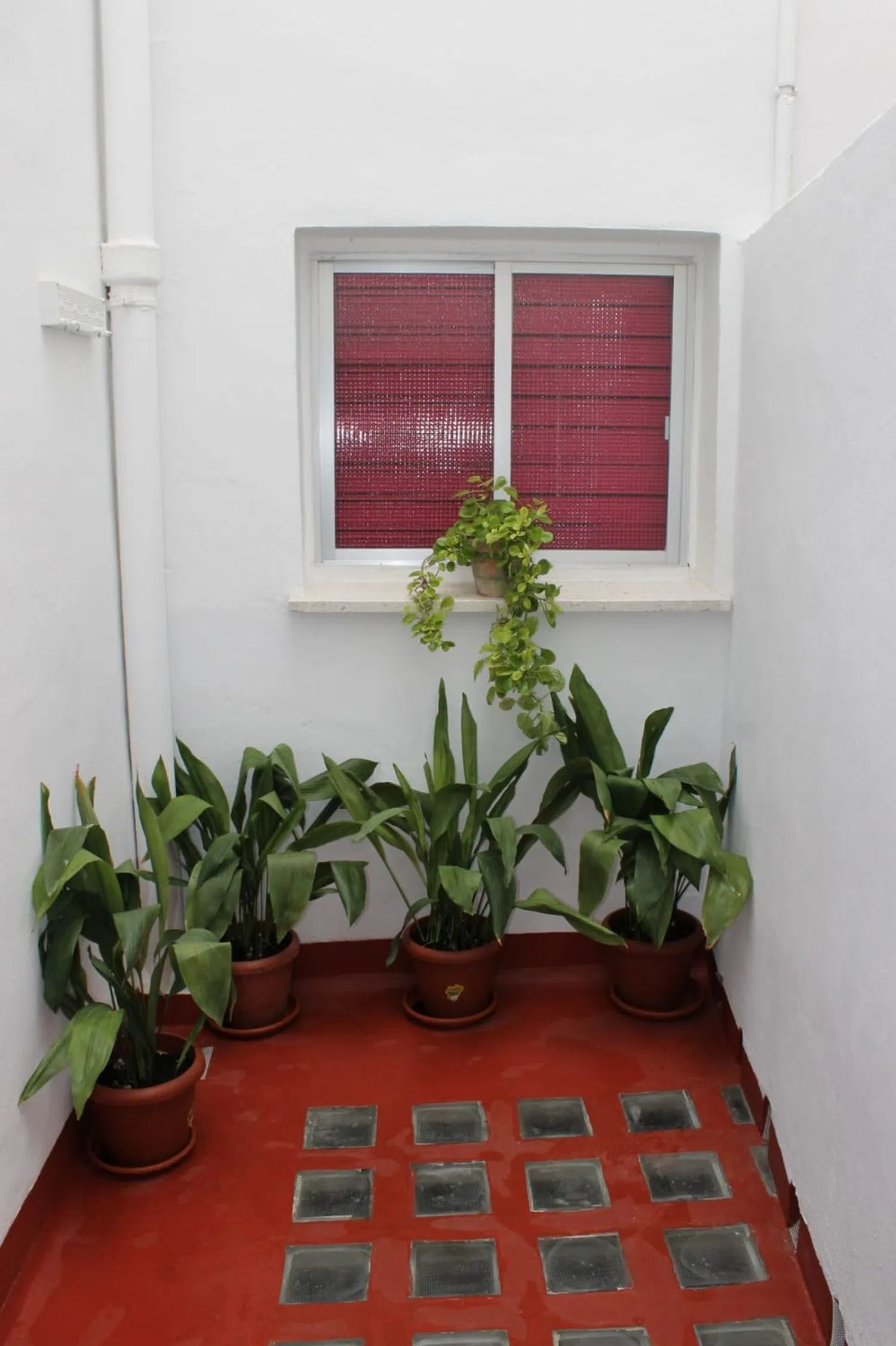 Piso en pasaje Escritor Narbona, 5 - Foto 9