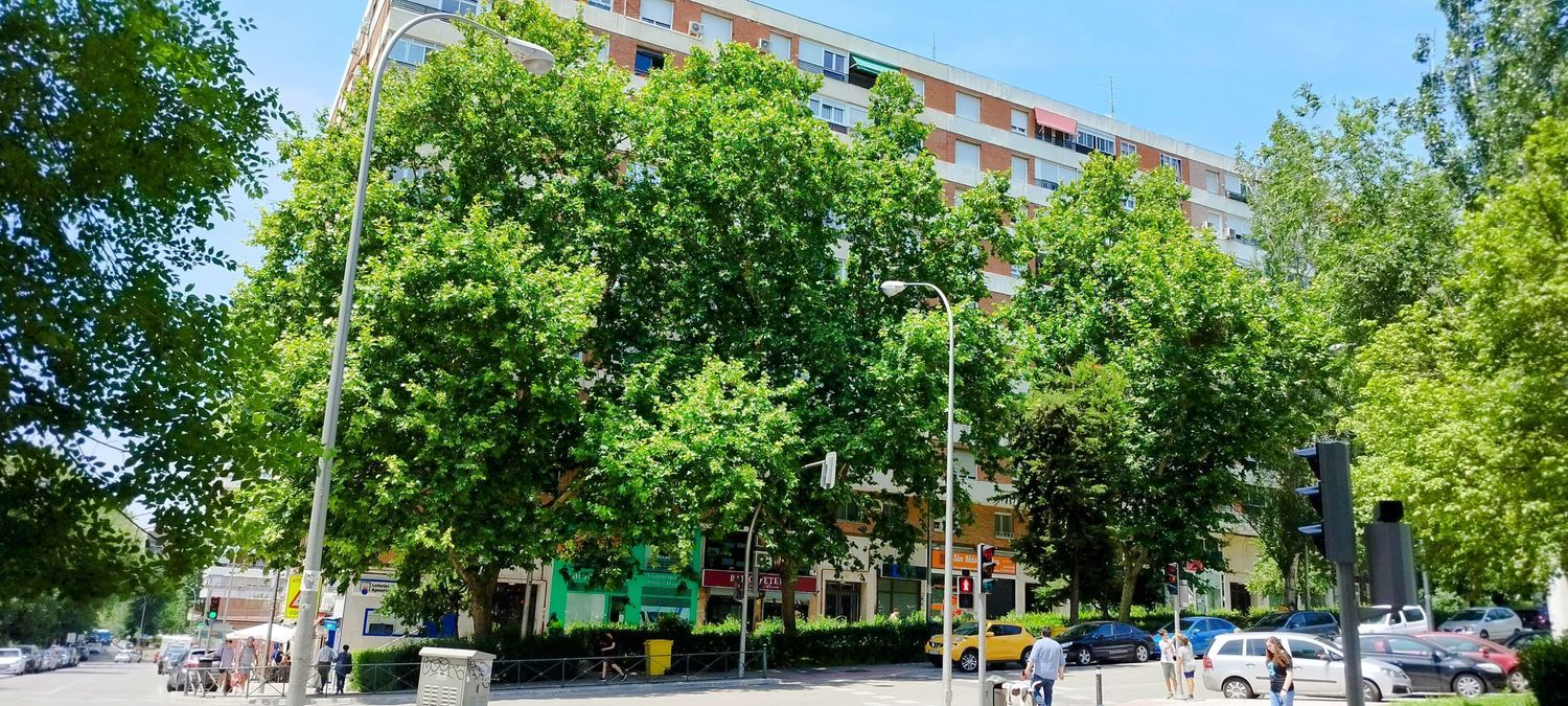 Piso en Barrio Peñagrande - Foto 3