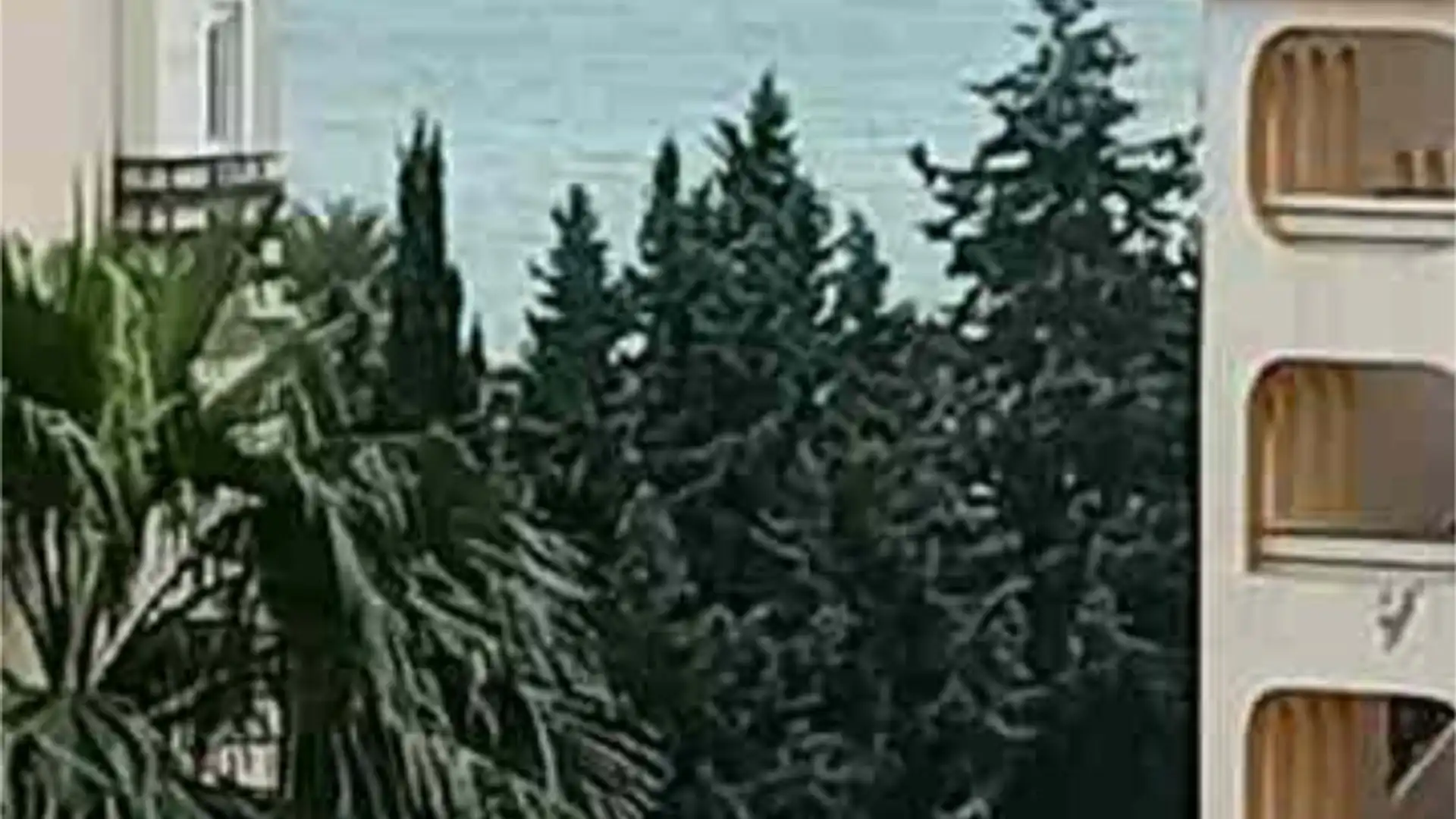 Apartamento en cerca parque paloma - Foto 9