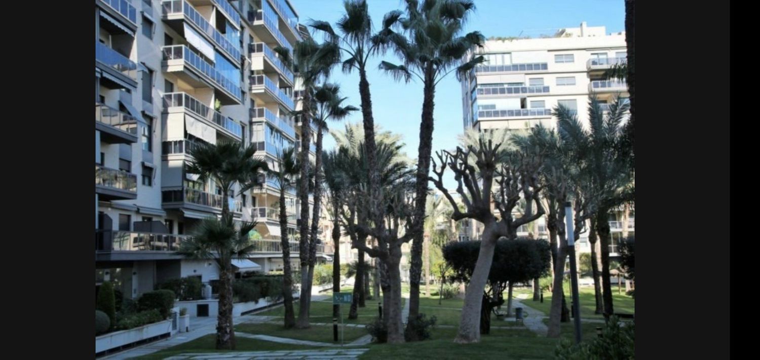 Piso en Historiador Vicente Ramos, 23 - Foto 5