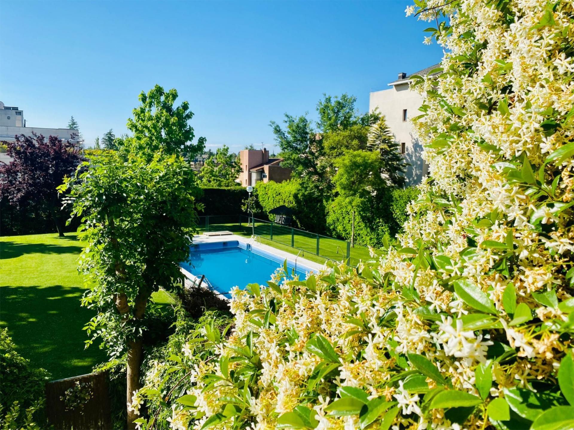 Piso en  Calle del Jazmín 59 - Foto 11