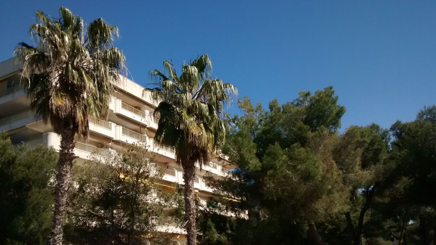 Piso en Calle de vendrell, 8, Eixample, Eixample - Foto 40