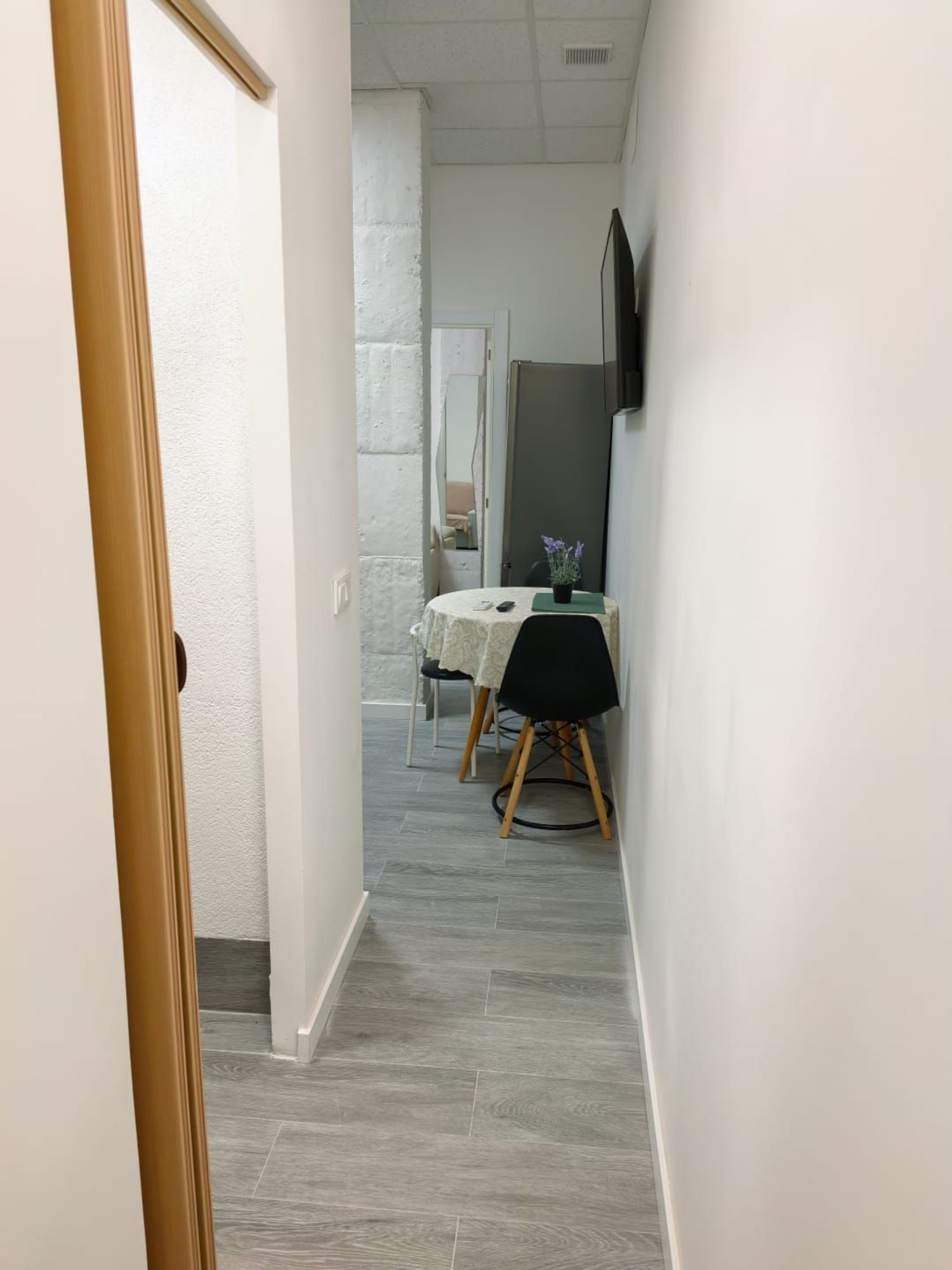 Estudio en Calle Enriqueta Elizaicin, 11, Benalúa - Foto 2