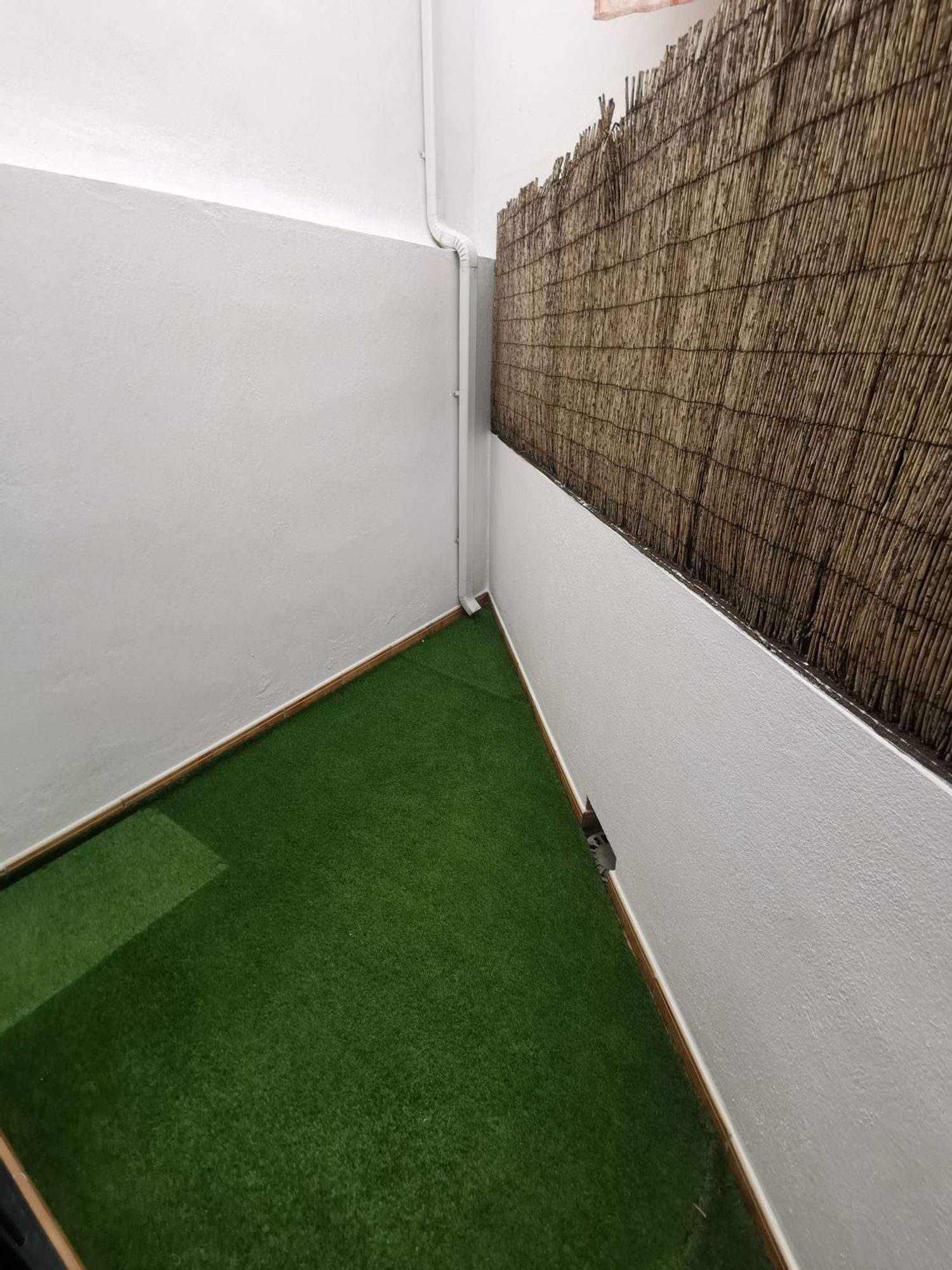 Piso en Calle Antonio Raíz, 9, El Tejar - Hacienda Bizcochero - Foto 7