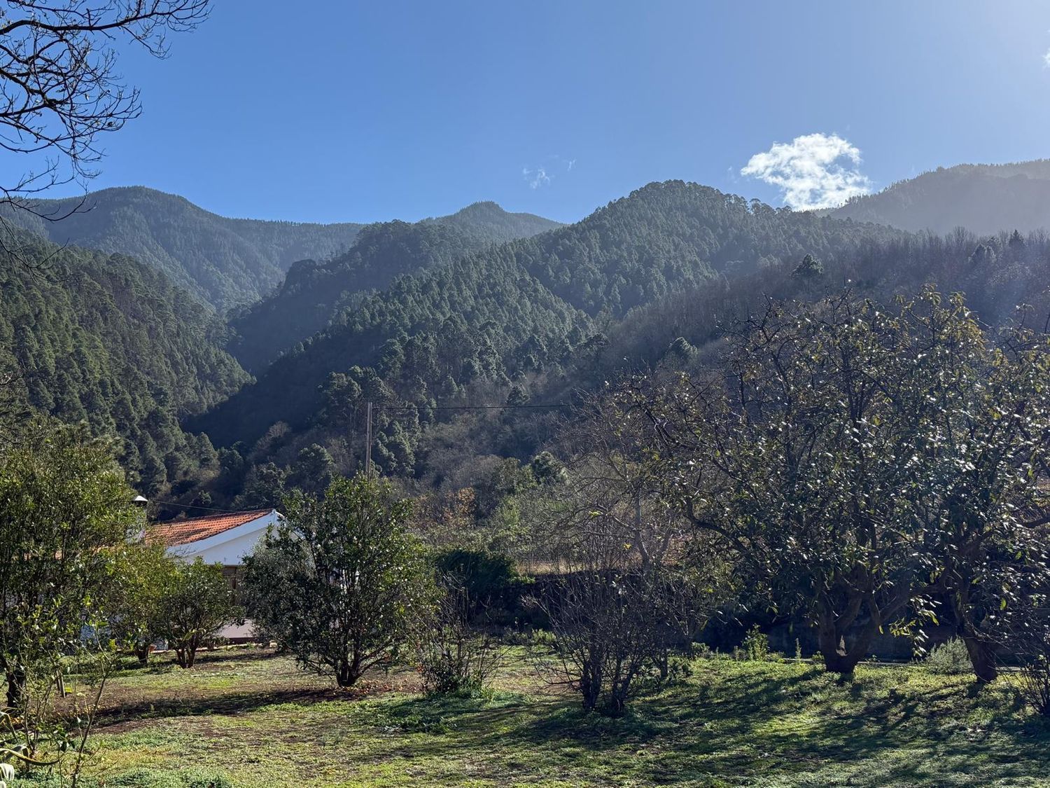 Casa o chalet independiente en Calle de Los Cominos, 63, El Bebedero - Pinolere - Aguamansa, El Bebedero - Pinolere - Aguamansa - Foto 14