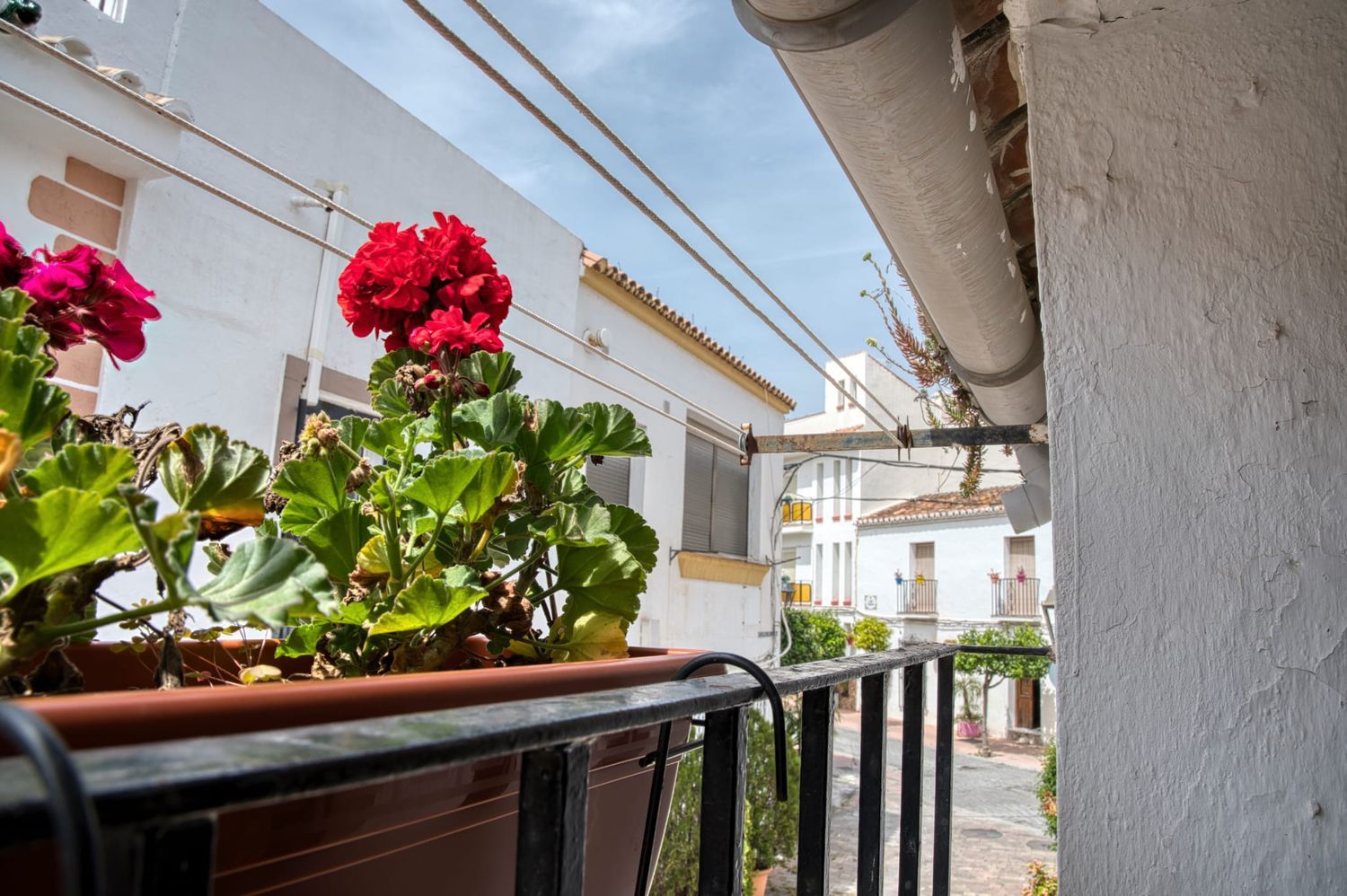 Casa o chalet independiente en Calle Ramón y Cajal, 24, Centro - Foto 13