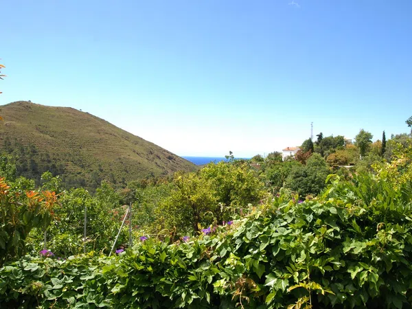 Casa independiente en calle Diseminado s/n sn - Foto 25