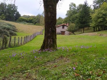 Finca rústica en Larraun - Foto 5