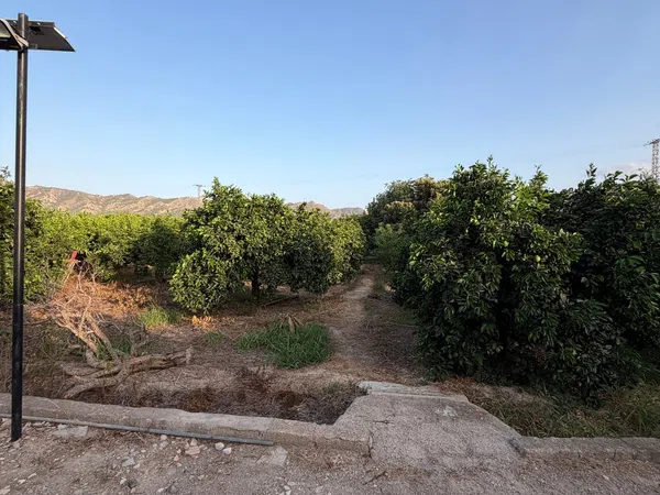 Finca rústica en Camino de los Plazas, 16, San José de la Vega - Foto 32