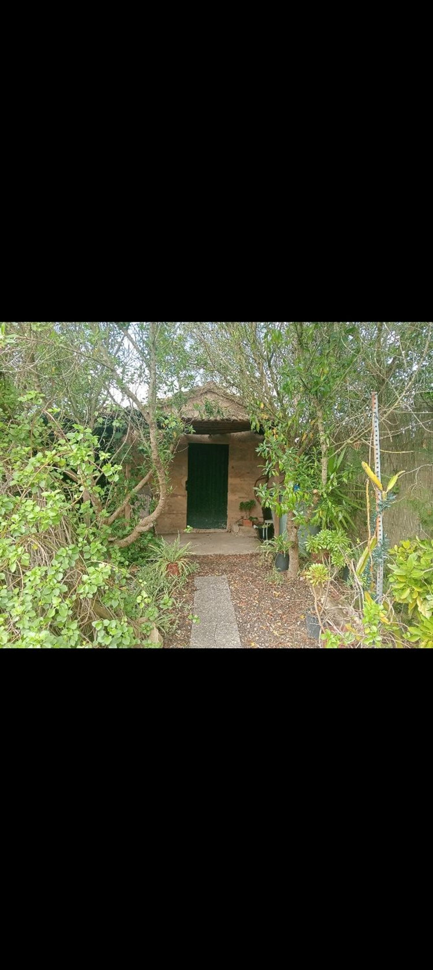 Finca rústica en Son santandreu, 541 - Foto 2