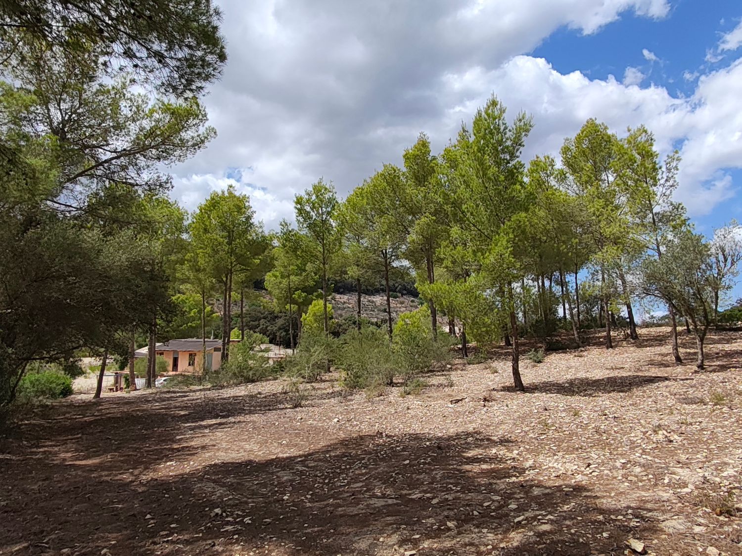 Casa o chalet independiente en Rafal aixat s/n - Foto 18