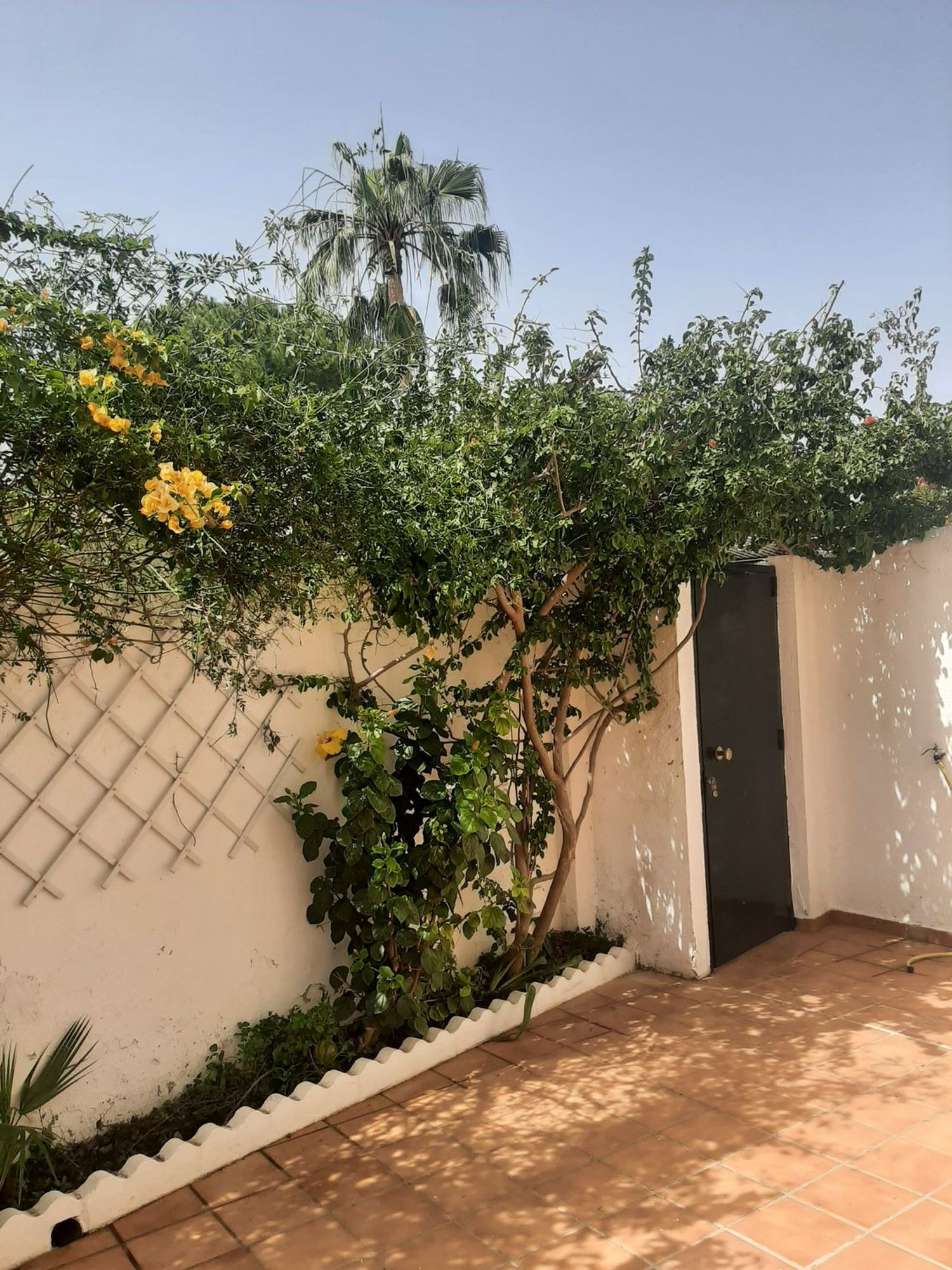 Casa o chalet independiente en Calle Jabeque, 12, El Manantial - Foto 9