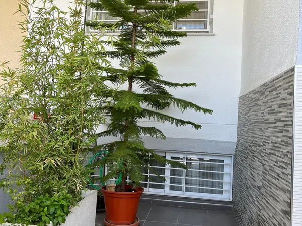 Casa o chalet independiente en Calle Baden Powell, 15 - Foto 1