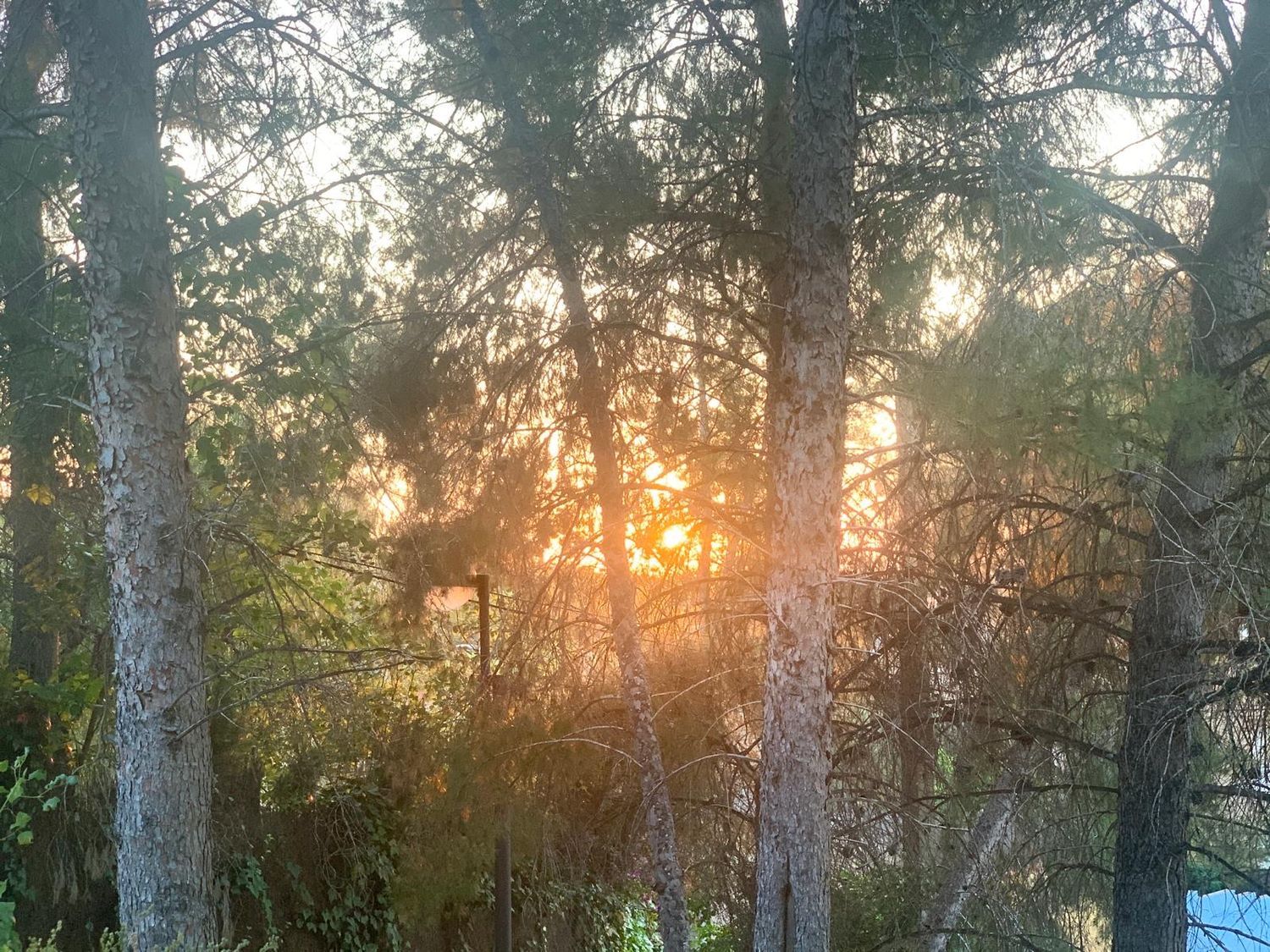 Piso en calle Olivos, 17 - Foto 22