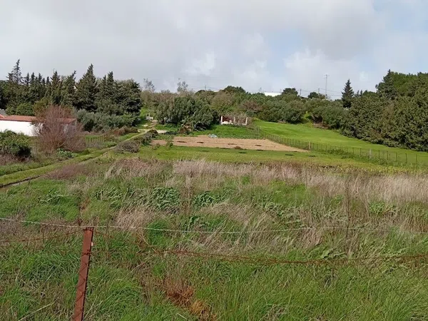 Finca rústica en camino Cañada del Fontanar s/n - Foto 8