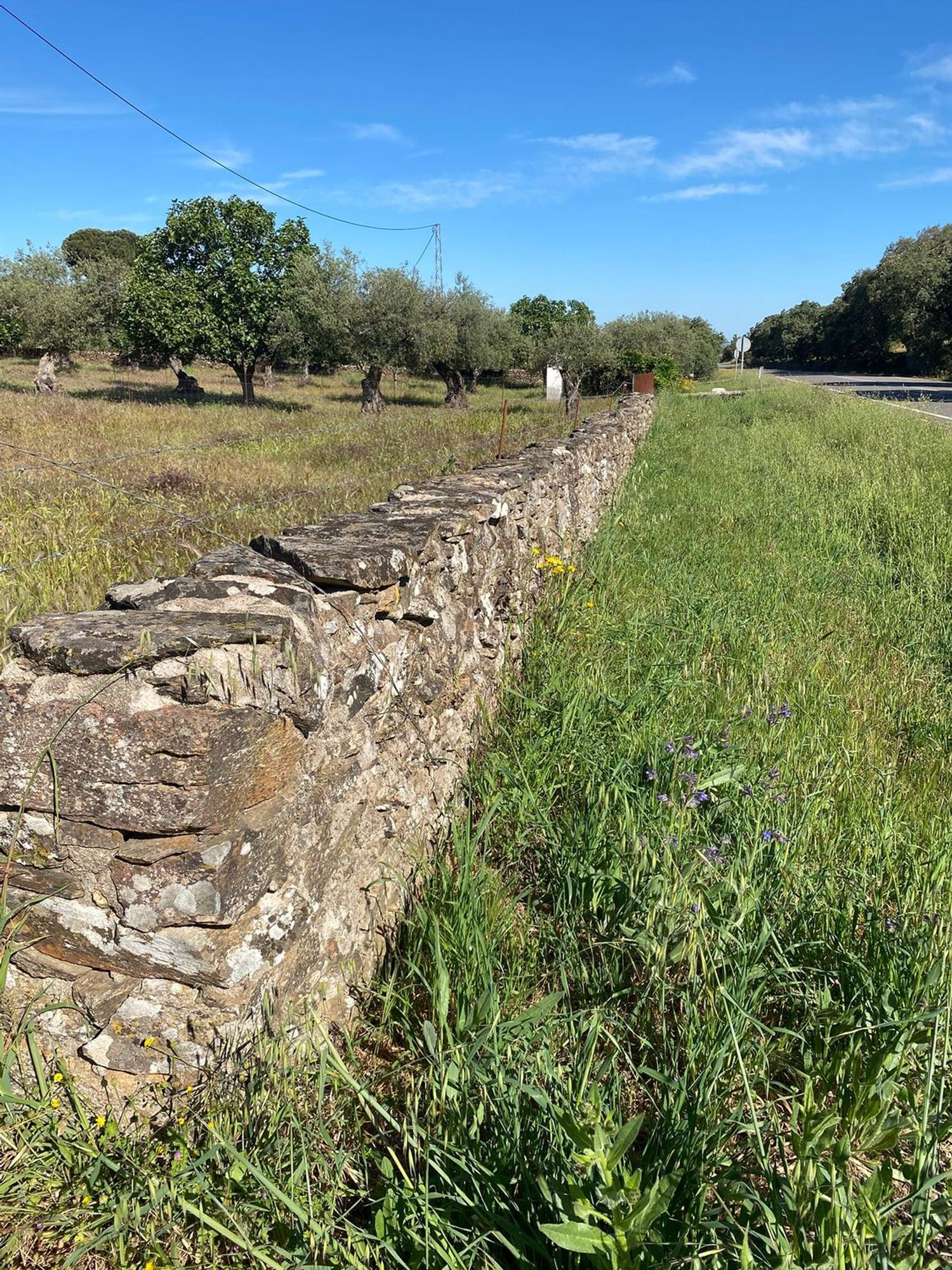 Finca rústica en Carretera Ex-201 s/n - Foto 17