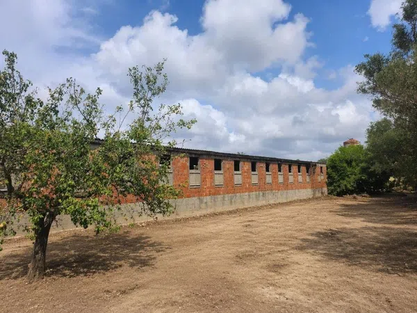 Finca rústica en Cv-135, 11 - Foto 11