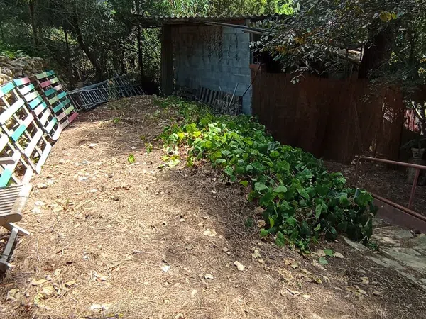 Casa o chalet independiente en Aldea de vallflor, 16 - Foto 16