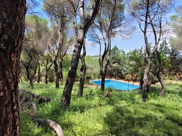 Chalet en Las Rozas de Madrid - Foto 27