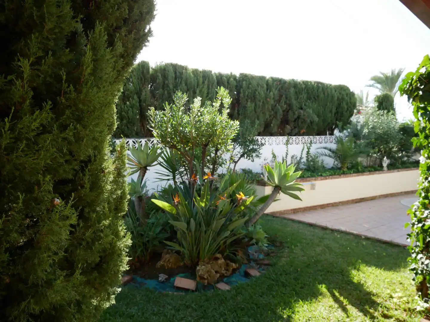 Chalet en  Avenida de España 57 - Foto 8