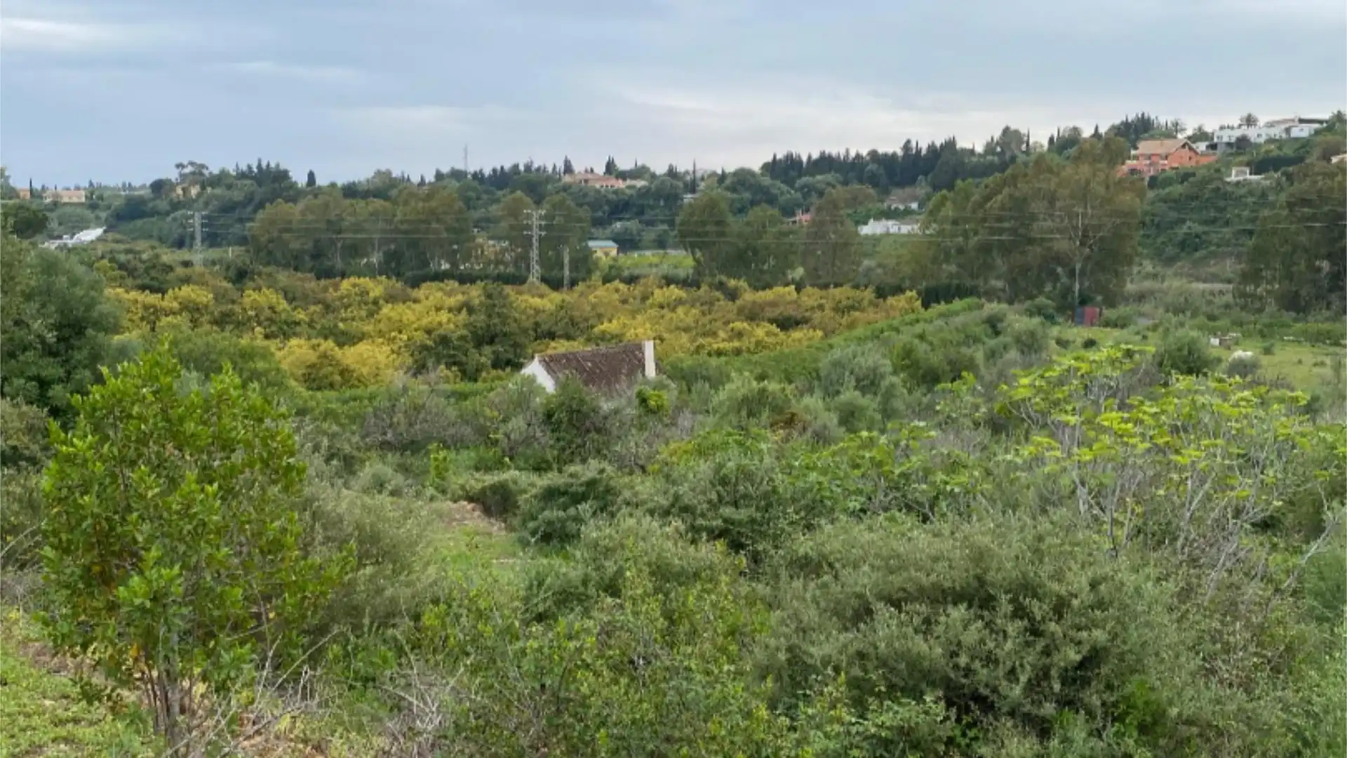 Chalet en  Calle de la Palmera 6 - Foto 34