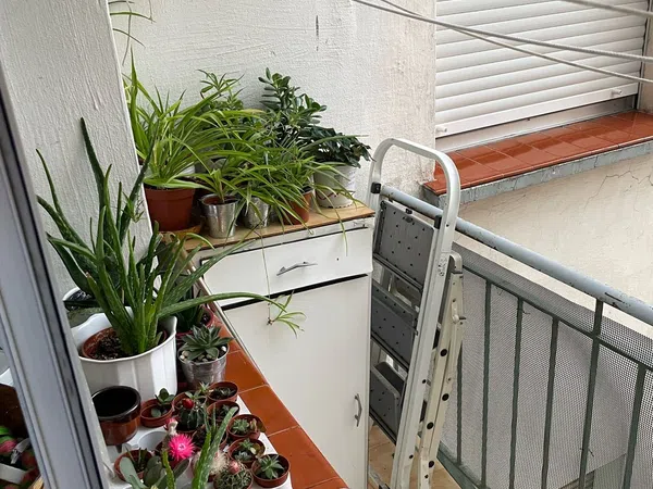 Piso en Calle Ingenieros Pino y Amorena, 1, Jesuitas - Foto 18