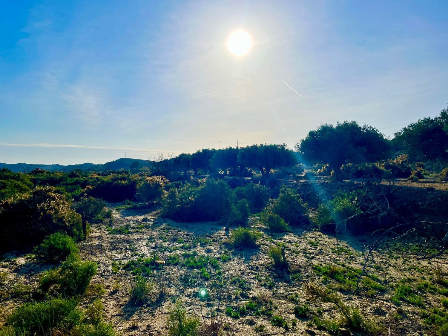 Finca rústica en camino Viejo de Saladas, 2 - Foto 14