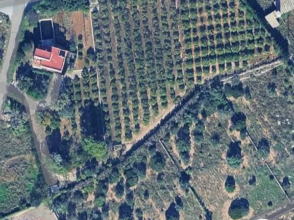 Casa independiente en camino Camarena s/n - Foto 1