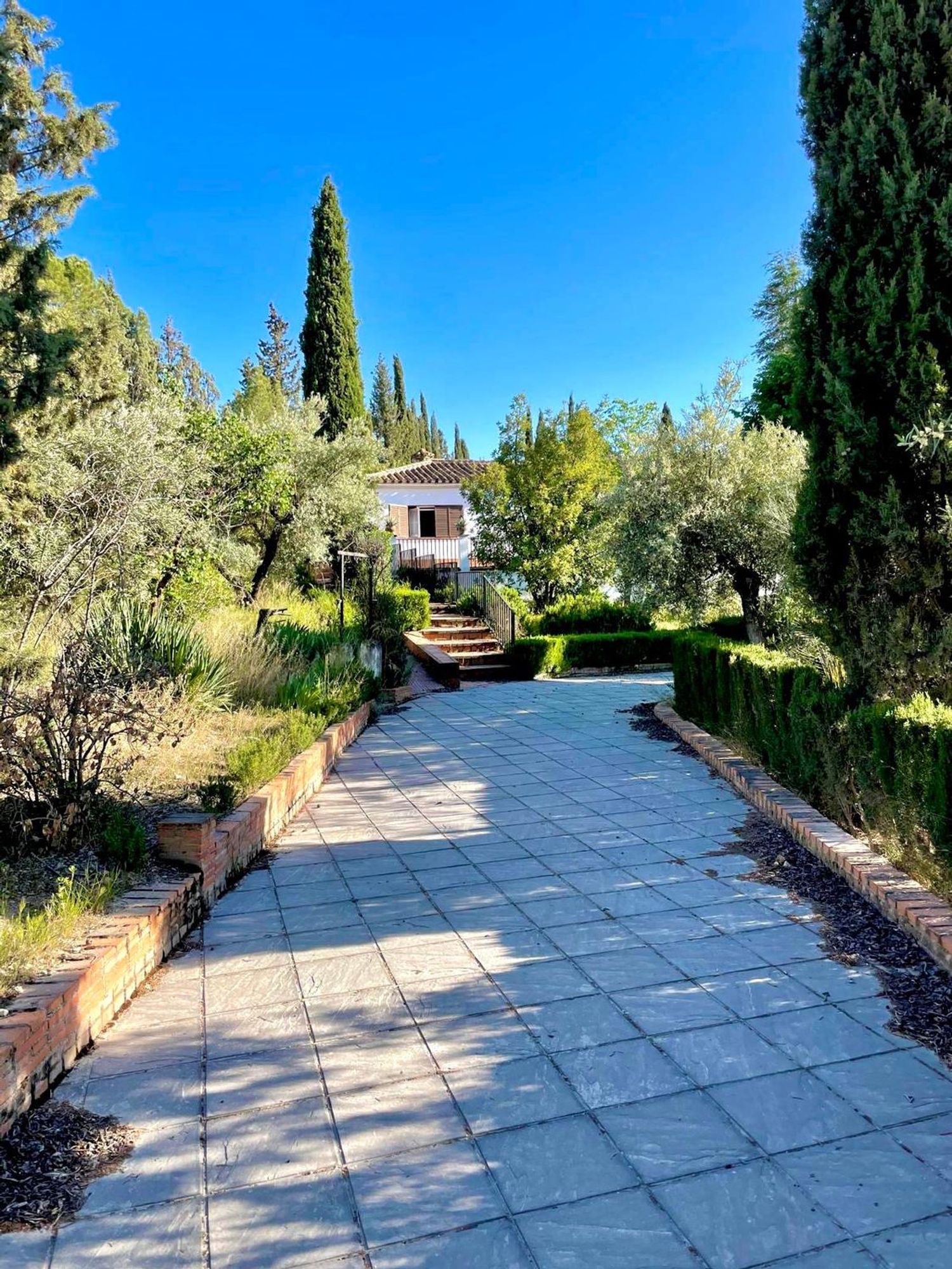 Casa o chalet independiente en Calle Río Tajo, 5 - Foto 4
