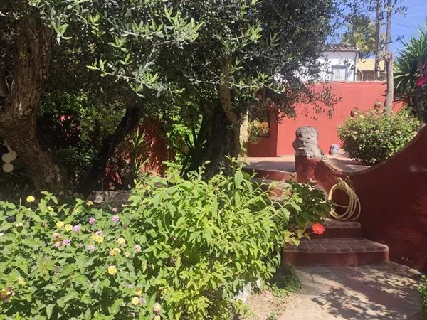 Casa o chalet independiente en Avenida de las Palmas, 26, El Rosario-Ricmar - Foto 3