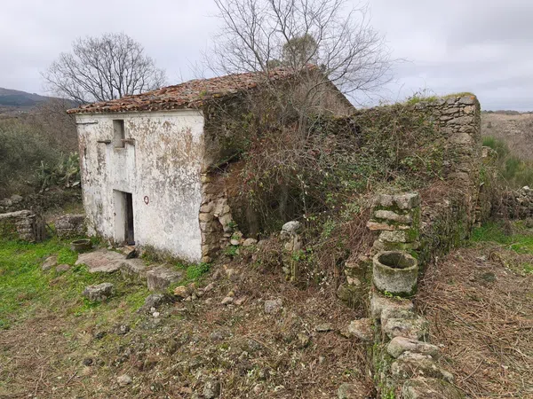 Finca rústica en Poblado los Arroyos de Abajo, 39 poligonoparcela - Foto 26