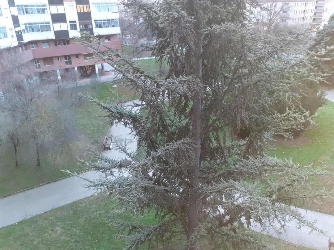 Piso en  Valladolid Kalea 6 - Foto 21