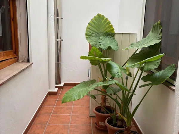 Chalet adosado en L'Espluga de Francoli - Foto 10