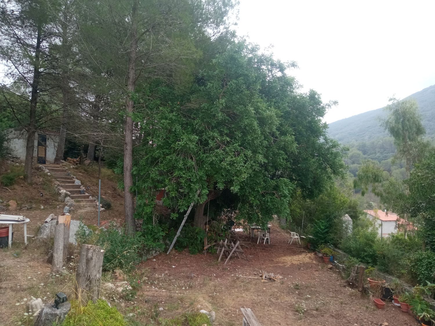 Finca rústica en Bancal domenec s/n - Foto 23