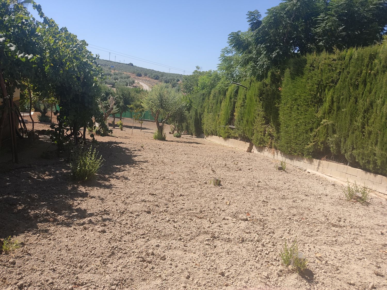Casa o chalet independiente en Málaga -cordoba, 58 - Foto 15
