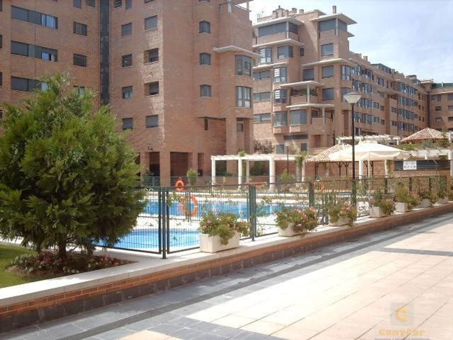 Piso en Avenida de los Arces, Palomas - Foto 3