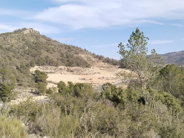 Finca rústica en La Zarza s/n - Foto 4