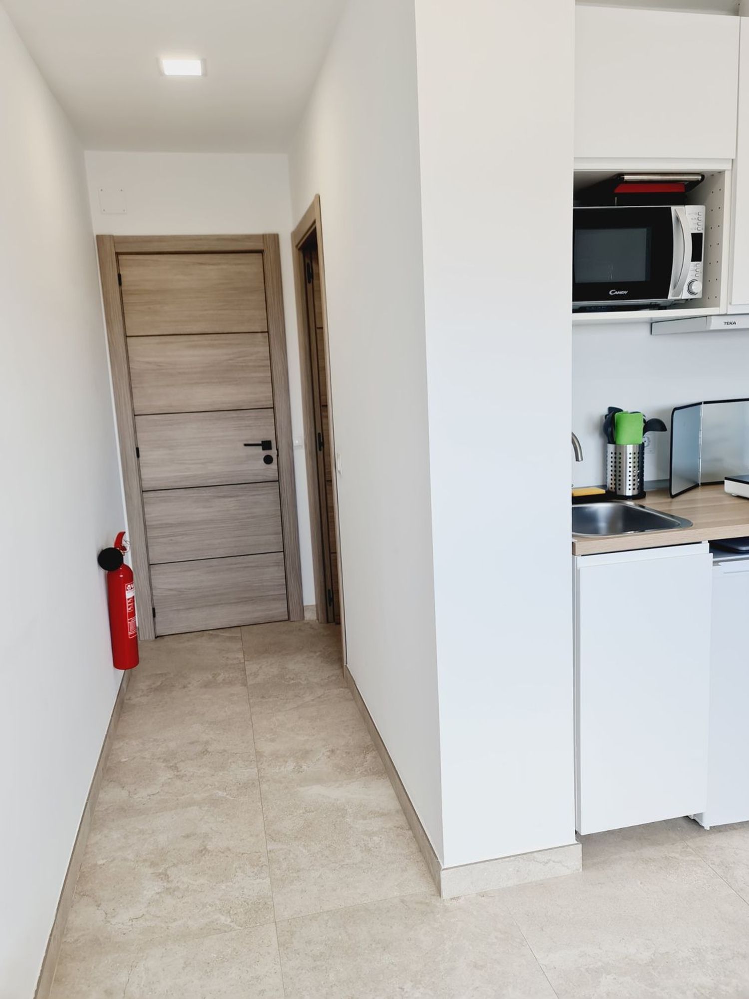 Estudio en abetos, 34 - Foto 5