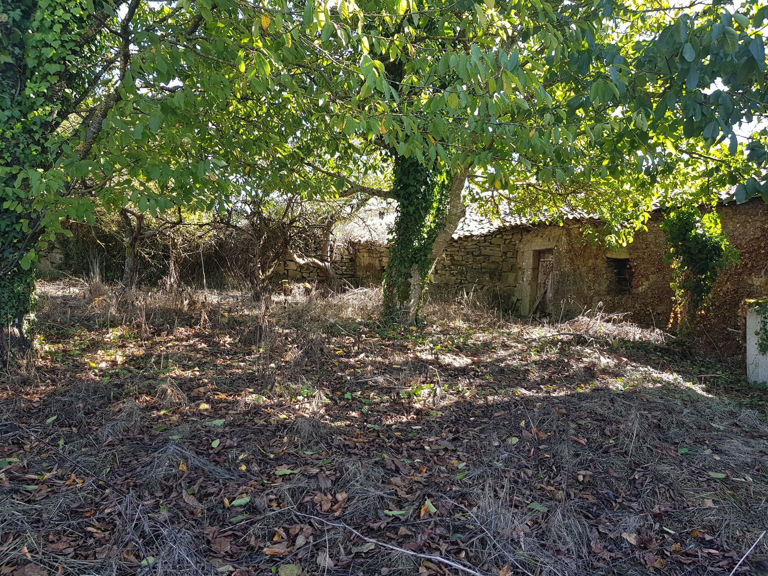 Casa de pueblo en Lugar Castelaus, 37 - Foto 9
