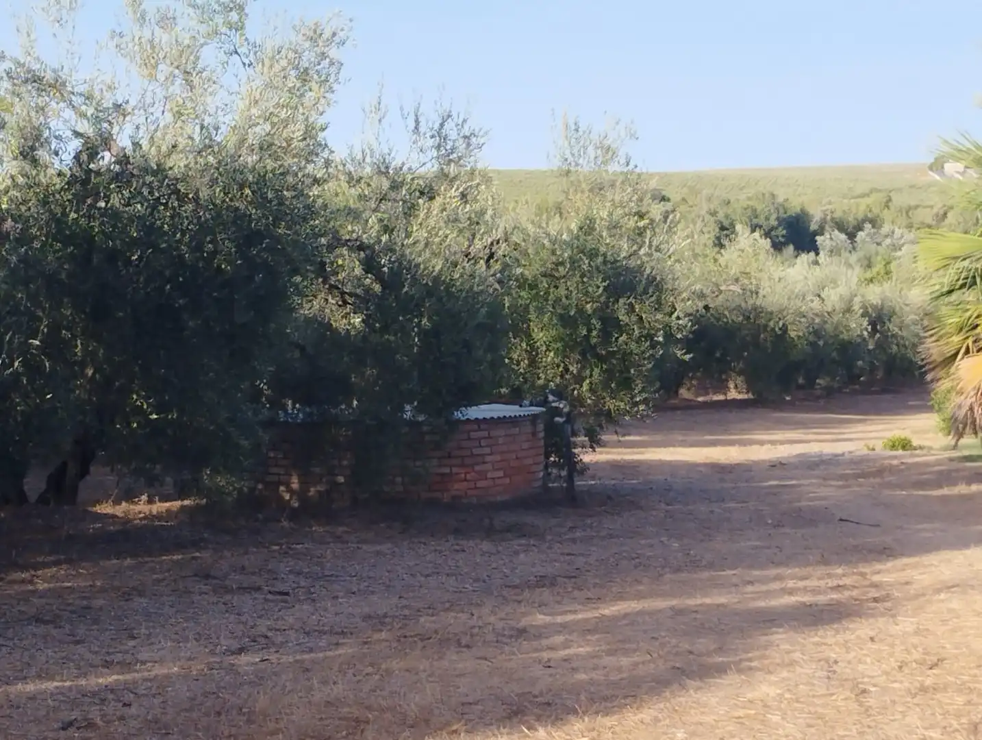 Finca rústica en  Calle Lairen 1 - Foto 2
