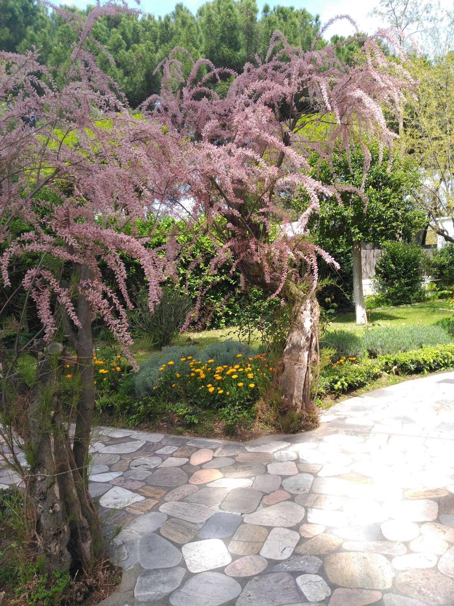Casa o chalet independiente en Calle Estio, 7, Arcas Reales - Pinar del Jalón, Arcas Reales - Pinar del Jalón - Foto 5