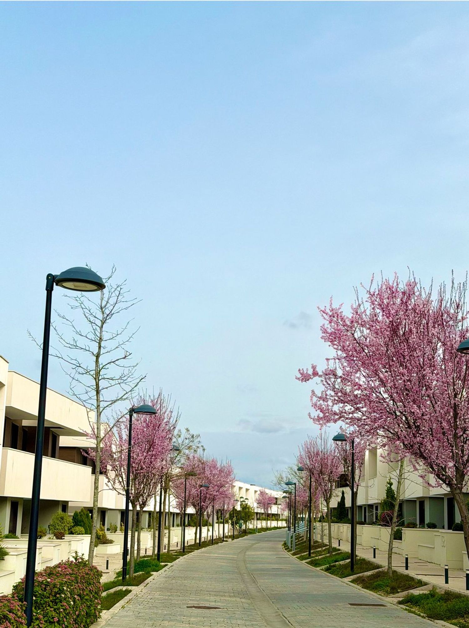 Chalet adosado en avenida de la Armada Española, 13 - Foto 2