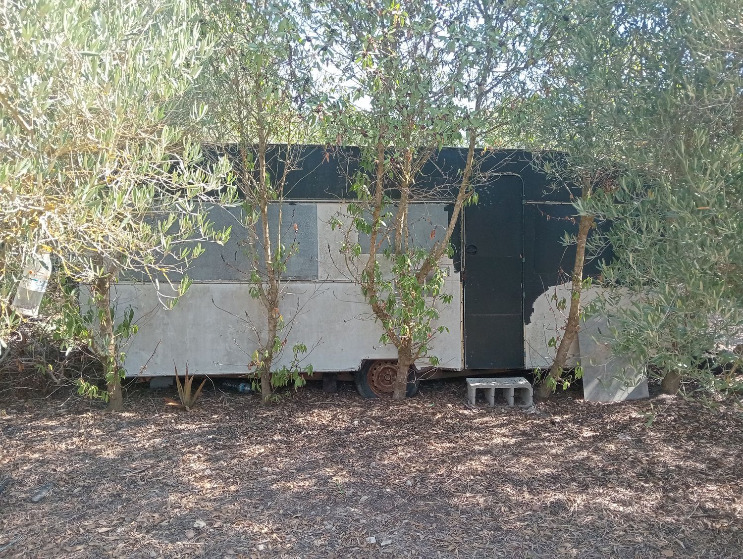 Finca rústica en Son santandreu, 541 - Foto 9
